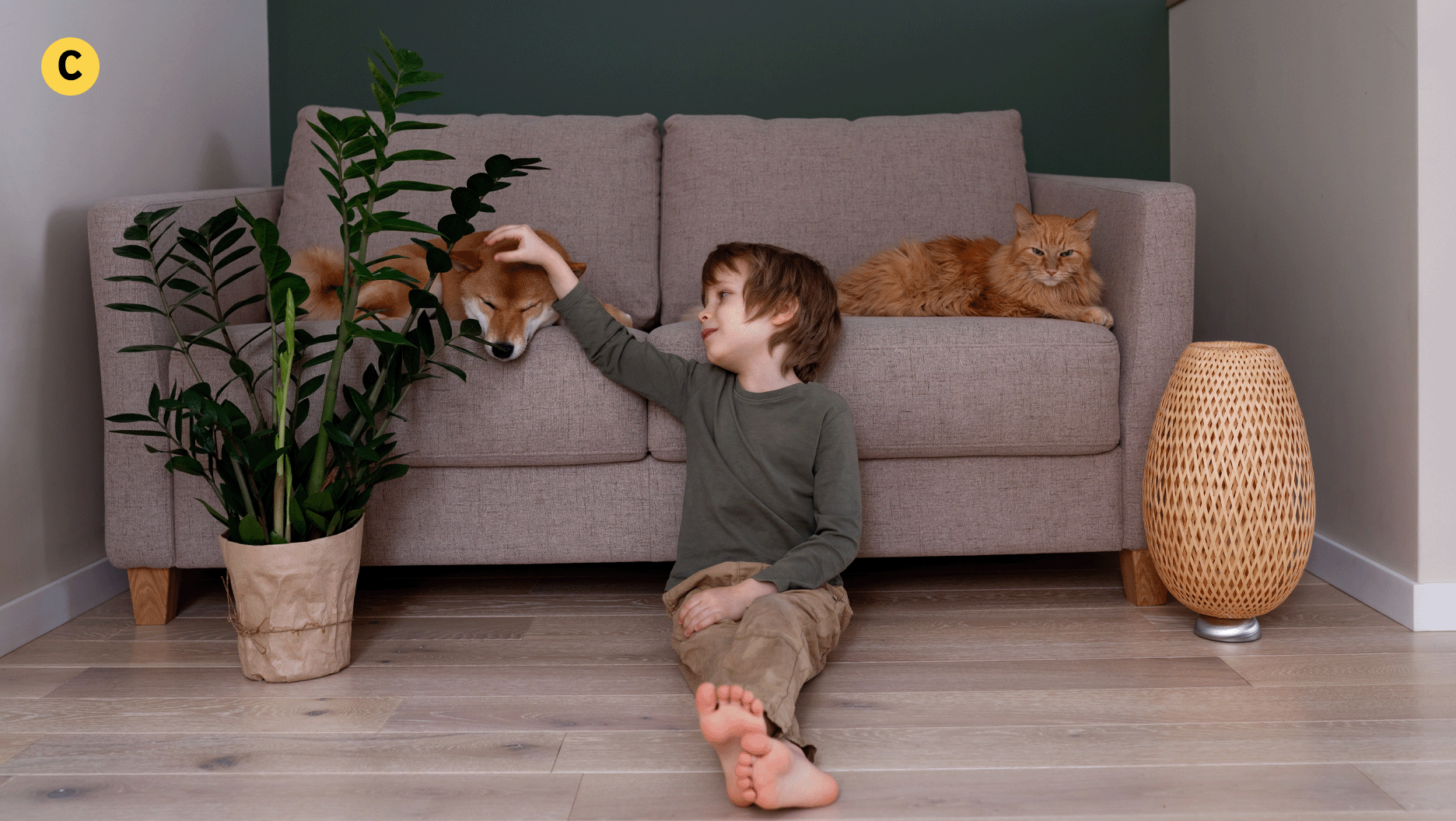 Chez lui, un garçon caresse son chien. Son chat est assis juste à côté de lui.