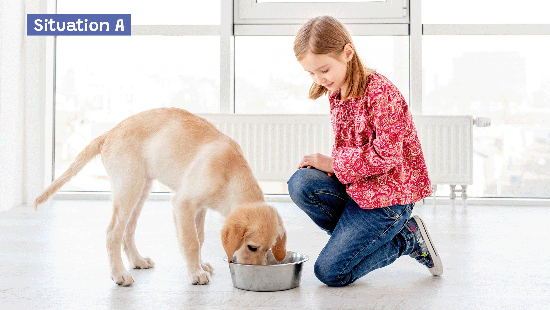 Une fille nourrit son chien.