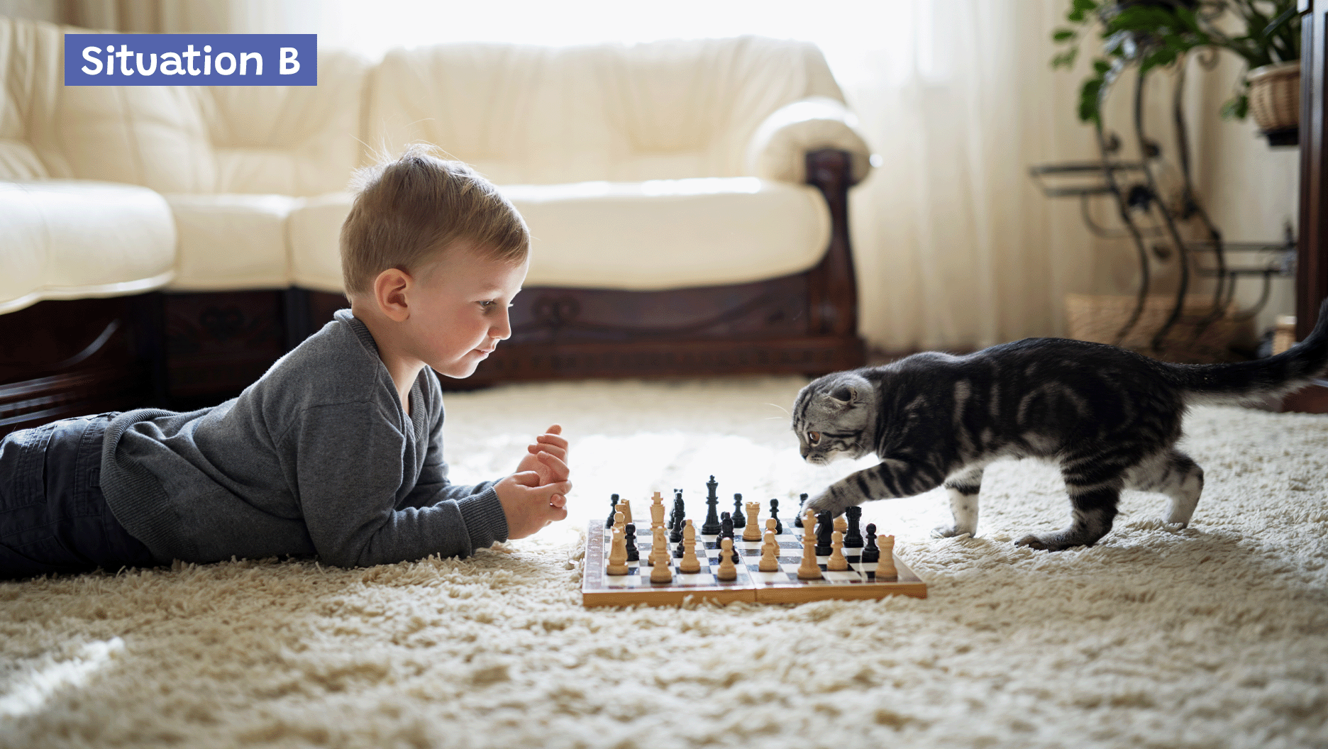 Un garçon joue avec son chat.