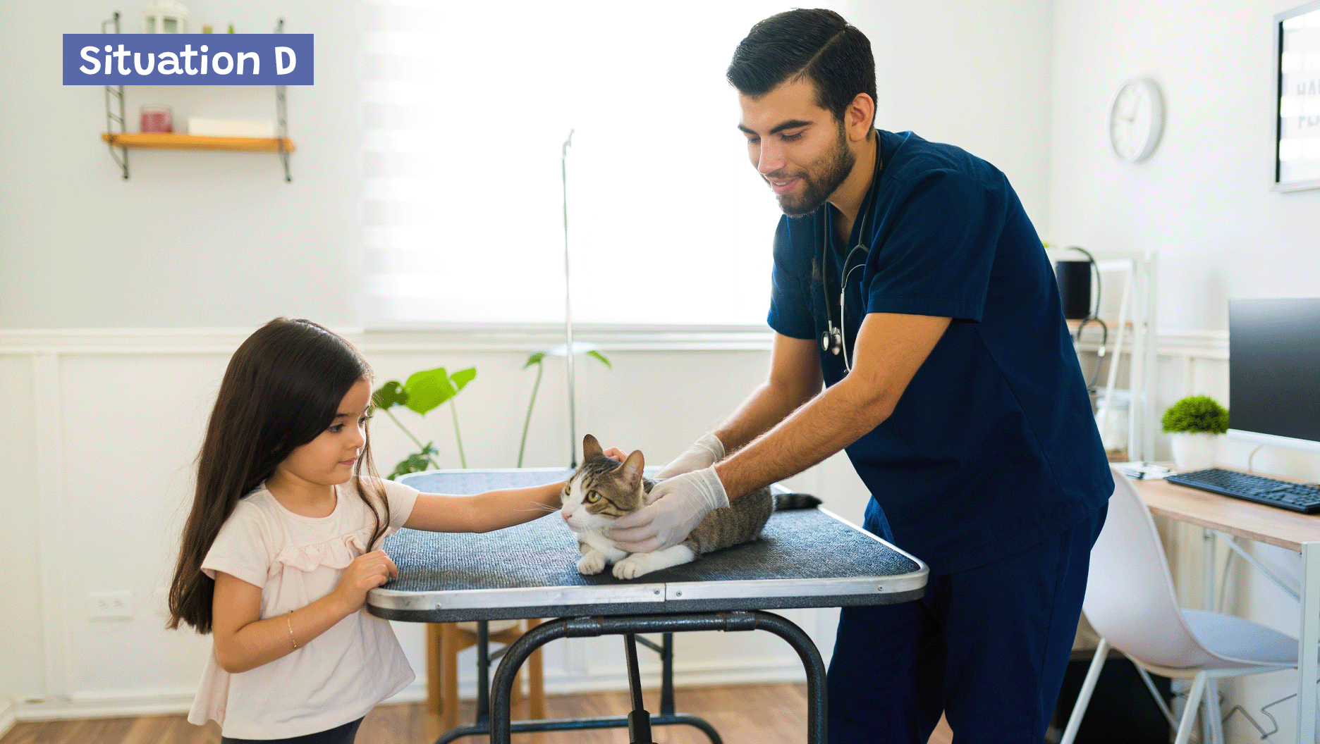 Un chat est en visite chez le vétérinaire.