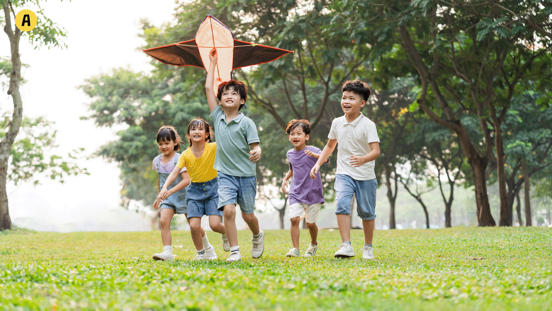 Des enfants jouent au parc avec un cerf-volant.