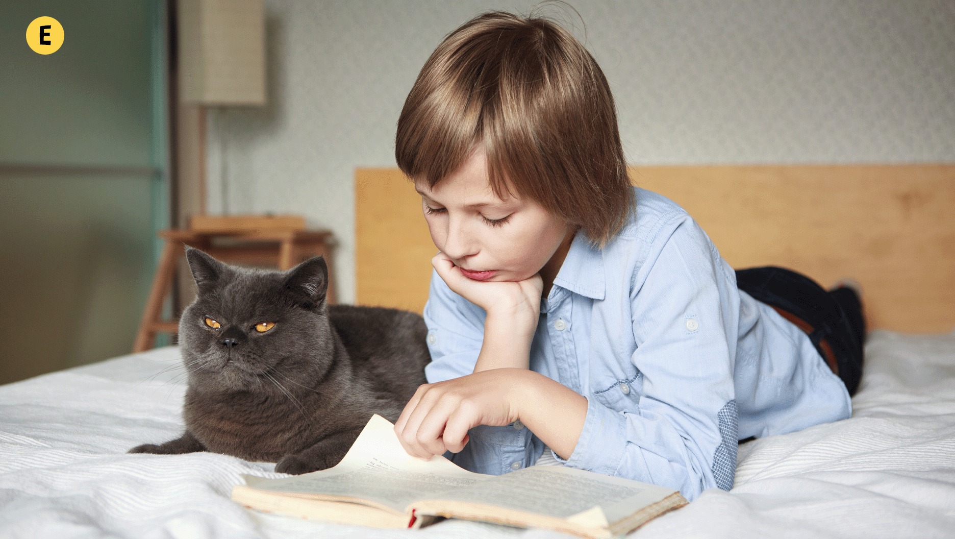 Un jeune garçon lit un livre avec son chat.