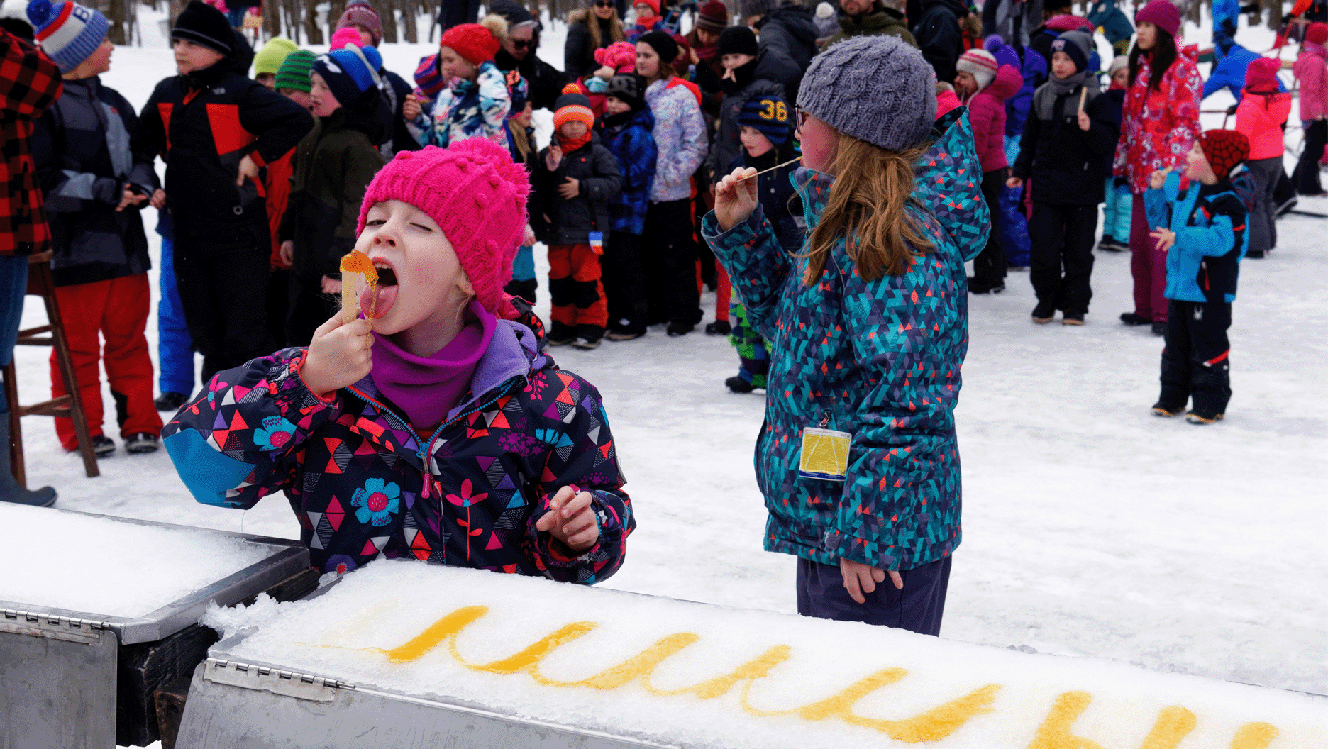 Lors d’une sortie scolaire à la cabane à sucre, des enfants dégustent de la tire d’érable sur la neige.