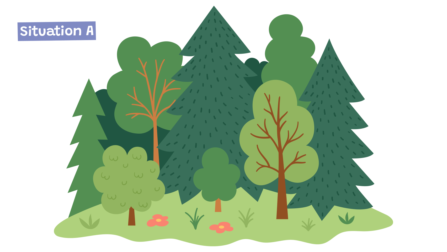 Situation A, une forêt.