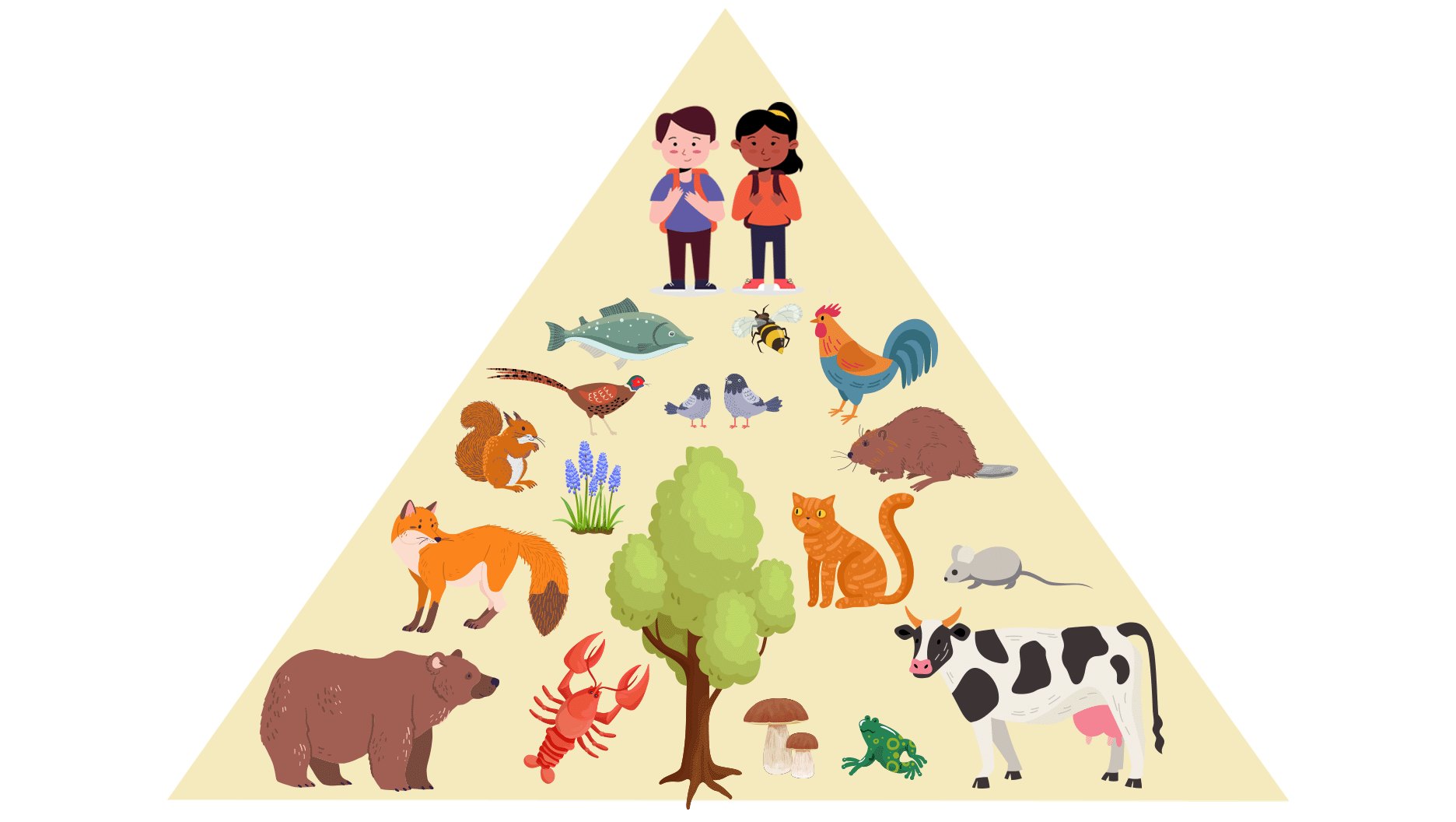 Dans un grand triangle sont représentés deux enfants, de nombreux animaux et des végétaux. Les deux enfants se trouvent tout au sommet du triangle. Les animaux et les végétaux se trouvent sous les enfants.