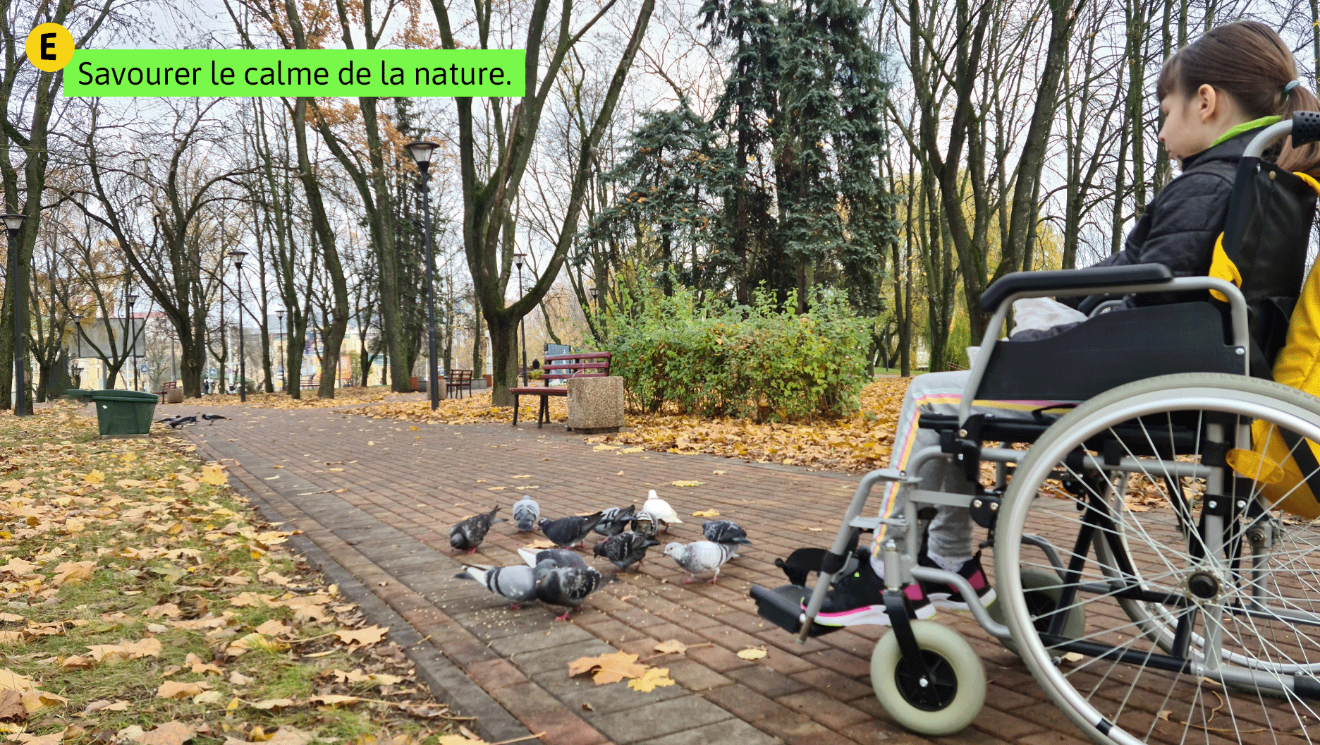 Situation E: Savourer le calme de la nature. Une jeune fille en fauteuil roulant donne à manger aux pigeons dans un parc.