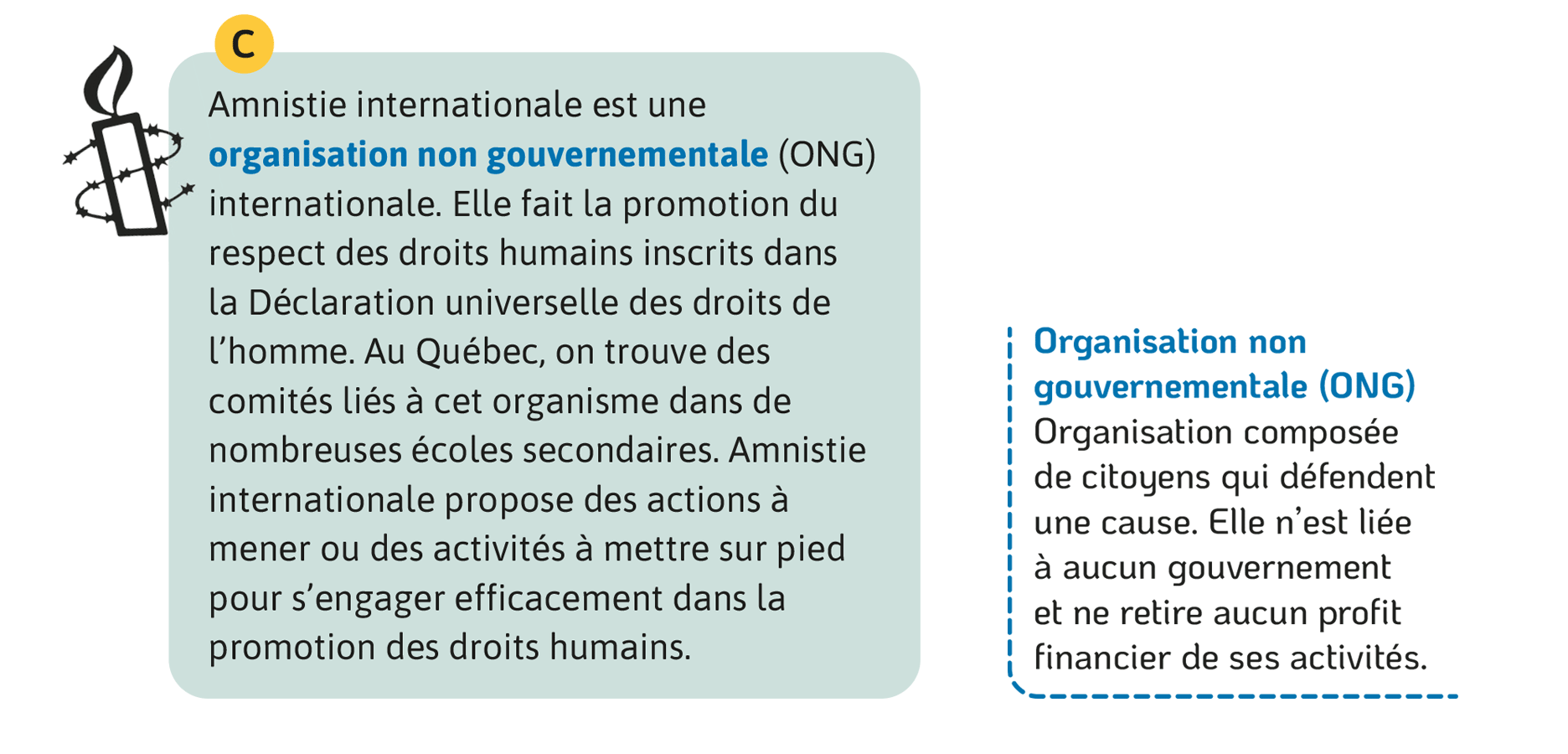 C: Amnistie internationale est une organisation non gouvernementale (ONG) internationale. Elle fait la promotion du respect des droits humains inscrits dans la Déclaration universelle des droits de l’homme. Au Québec, on trouve des comités liés à cet organisme dans de nombreuses écoles secondaires. Amnistie internationale propose des actions à mener ou des activités à mettre sur pied pour s’engager efficacement dans la promotion des droits humains. Une ONG est une organisation composée de citoyens qui défendent une cause. Elle n’est liée à aucun gouvernement et ne retire aucun profit financier de ses activités.